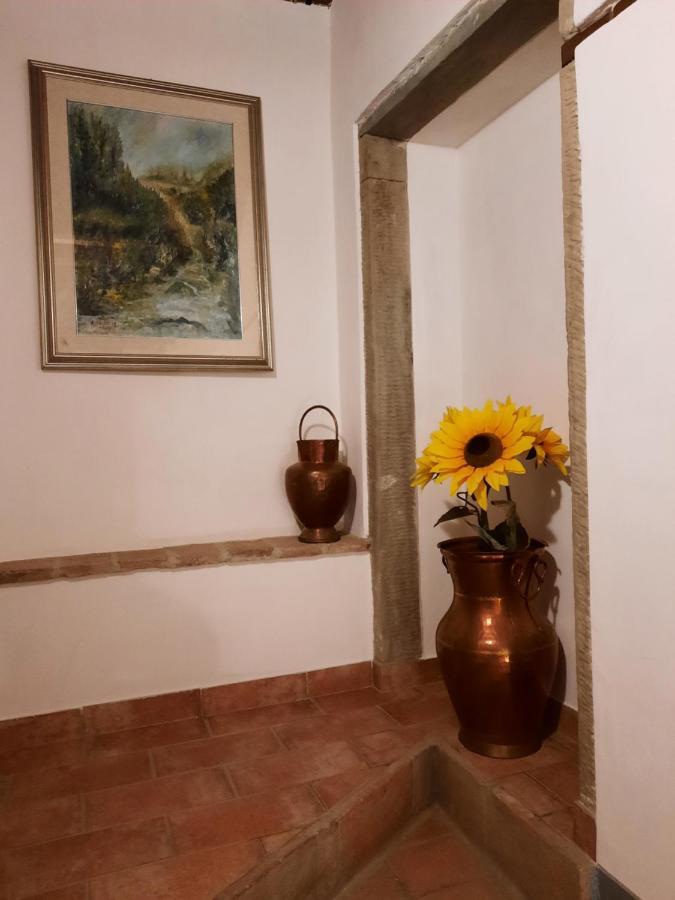 Sassomatto B&B Bioagriturelax Campogialli Buitenkant foto